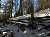 Planina Ravne - Kapelica na Molički planini